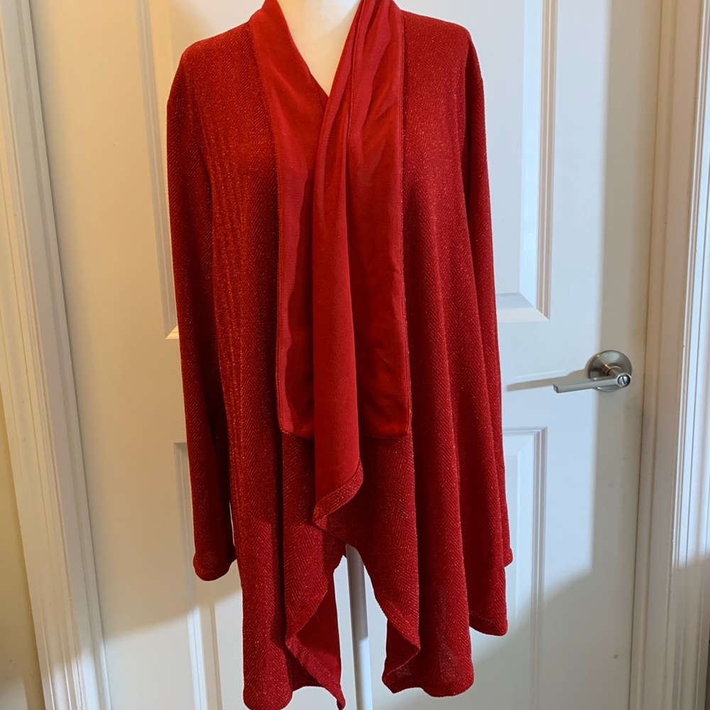 Calvin Klein | large | red | long sleeves cardigan